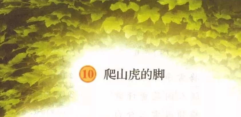 段的部首_段的部首_段的部首