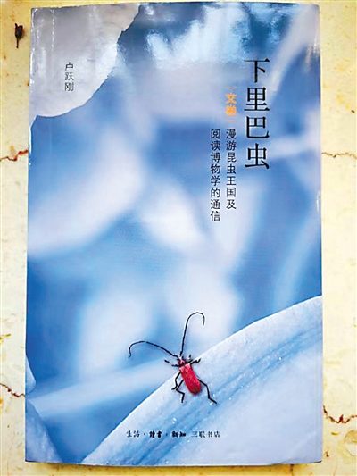 世字五行属什么_世字在五行属性是什么_世字五行属什么及解释