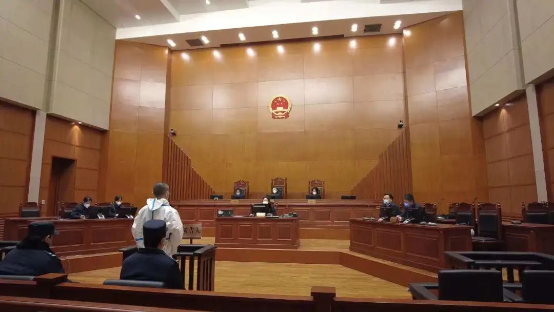 组织越国边境犯罪_组织偷越国边境罪_组织偷越边境罪缓刑几率