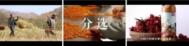 西贝那个字念什么_西贝是什么意思_西贝是啥