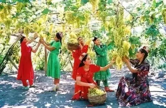 每当盛夏时_盛夏时光_盛夏时有风