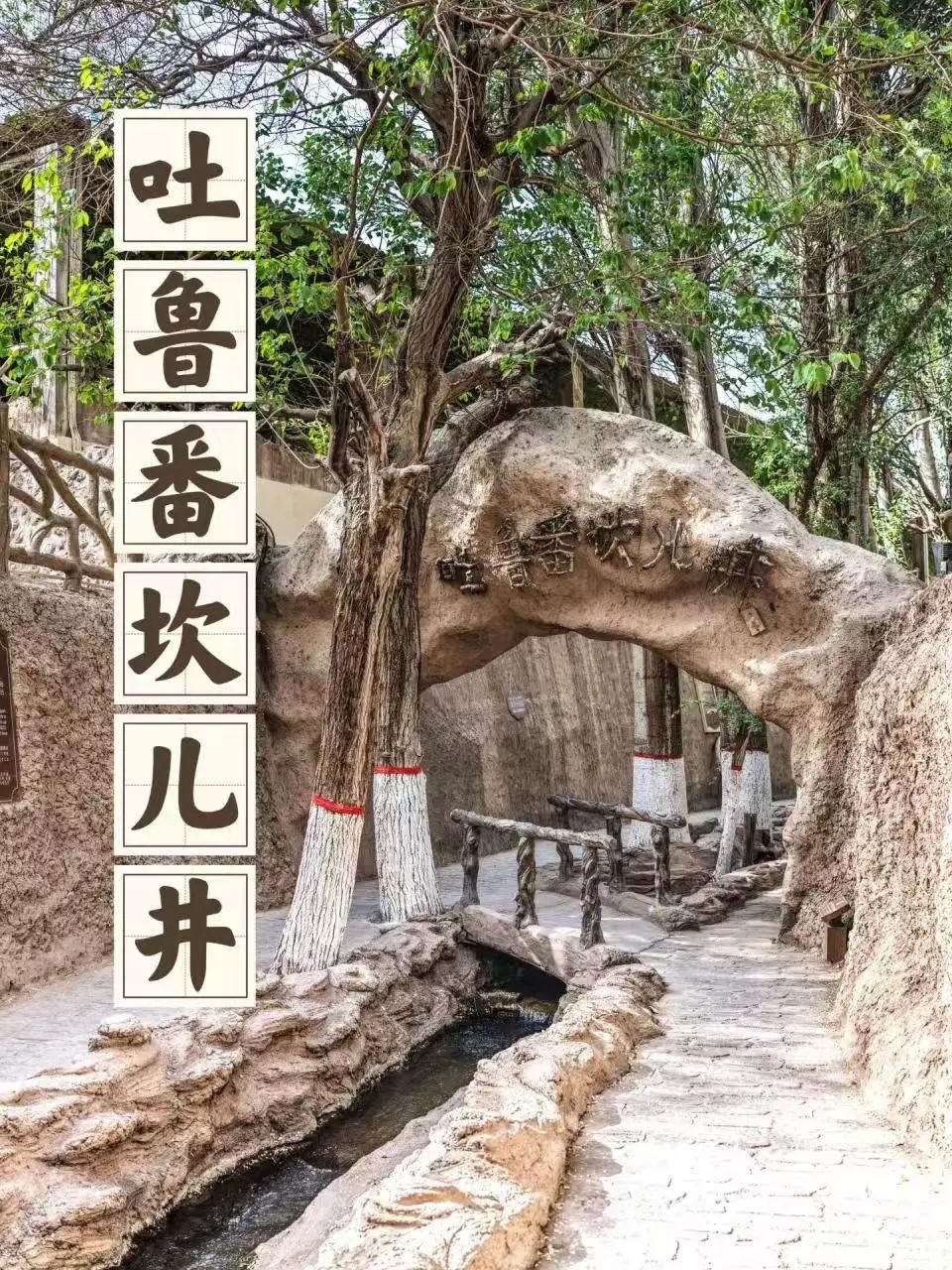 盛夏时有风_每当盛夏时_盛夏时光
