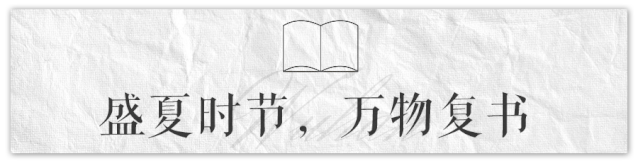 每当盛夏时_盛夏时有风小说完整版_盛夏时光