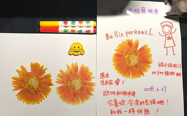 爱普生彩色打印复印扫描一体机_l380爱普生复印步骤_爱普生复印机