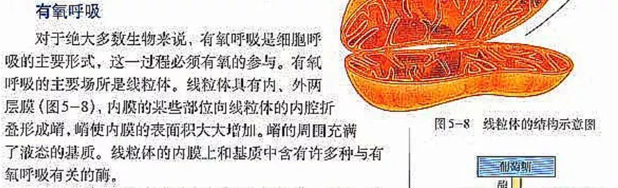 什么叫有机物_什么叫有机物_什么叫有机物