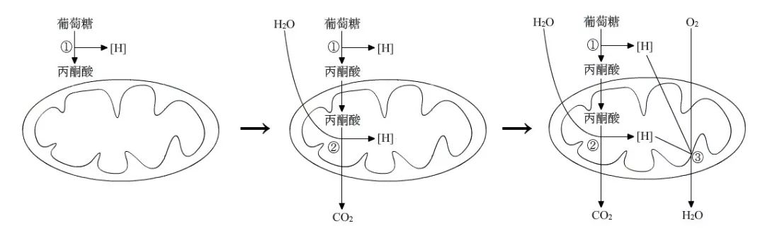 什么叫有机物_什么叫有机物_什么叫有机物