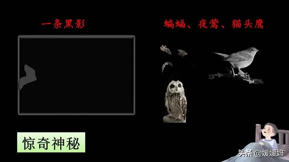 拼音眼眶_拼音眼睛_眼的拼音