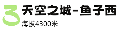 芝恩_芝恩_芝组词