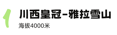 芝恩_芝组词_芝恩