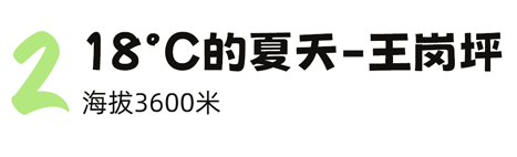 芝组词_芝恩_芝恩