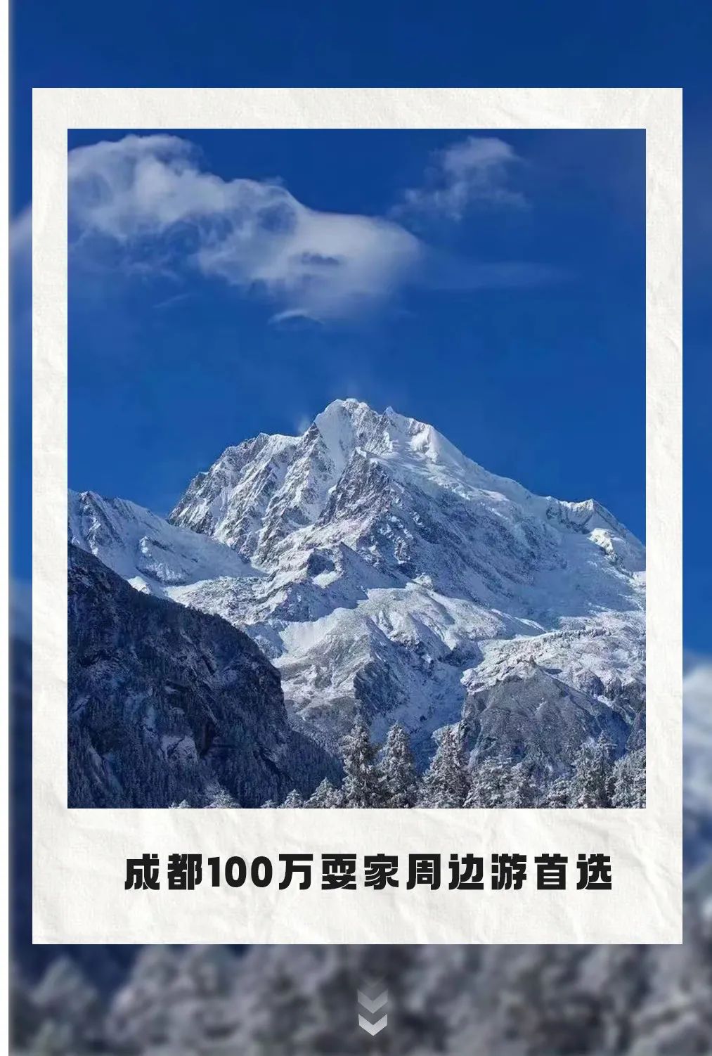 芝组词_芝恩_芝恩