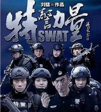 特种兵火凤凰凤凰_特种兵火凤凰1_特种兵之火凤凰演员表