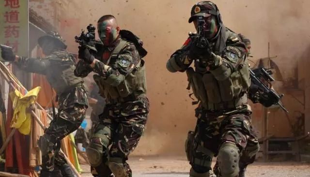 特种兵火凤凰1_特种兵火凤凰凤凰_特种兵之火凤凰演员表