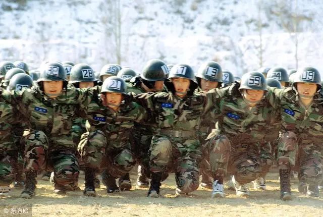 电视剧特种兵火凤凰剧集_特种兵凤凰火凤凰_特种兵之火凤凰演员表