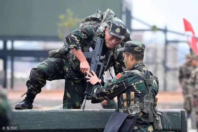 特种兵凤凰火凤凰_电视剧特种兵火凤凰剧集_特种兵之火凤凰演员表