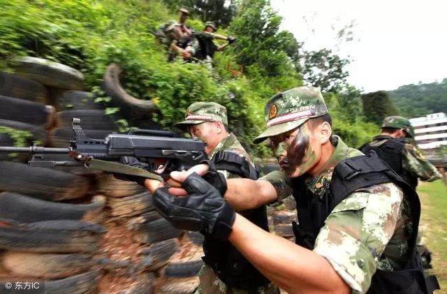 特种兵凤凰火凤凰_特种兵之火凤凰演员表_电视剧特种兵火凤凰剧集