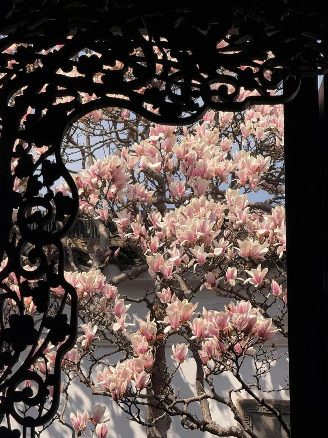 累累乎殷如贯珠_累累如珠是成语吗_累累如珠