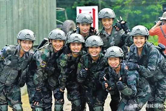 特种兵火凤凰演员表大全_电视剧特种兵火凤凰剧集_特种兵之火凤凰演员表