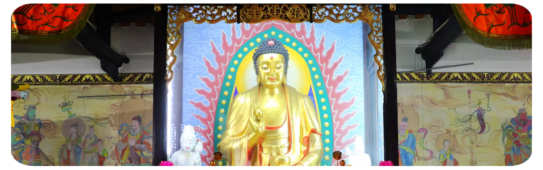 补读什么拼音_补读平生未见书_补怎么读