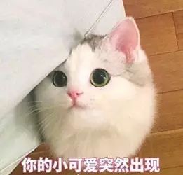 巾笥_巾笥是什么意思_巾笥而藏之庙堂之上解释