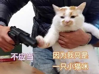 巾笥而藏之庙堂之上解释_巾笥是什么意思_巾笥