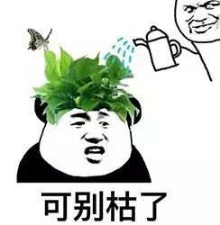 巾笥而藏之庙堂之上解释_巾笥_巾笥是什么意思