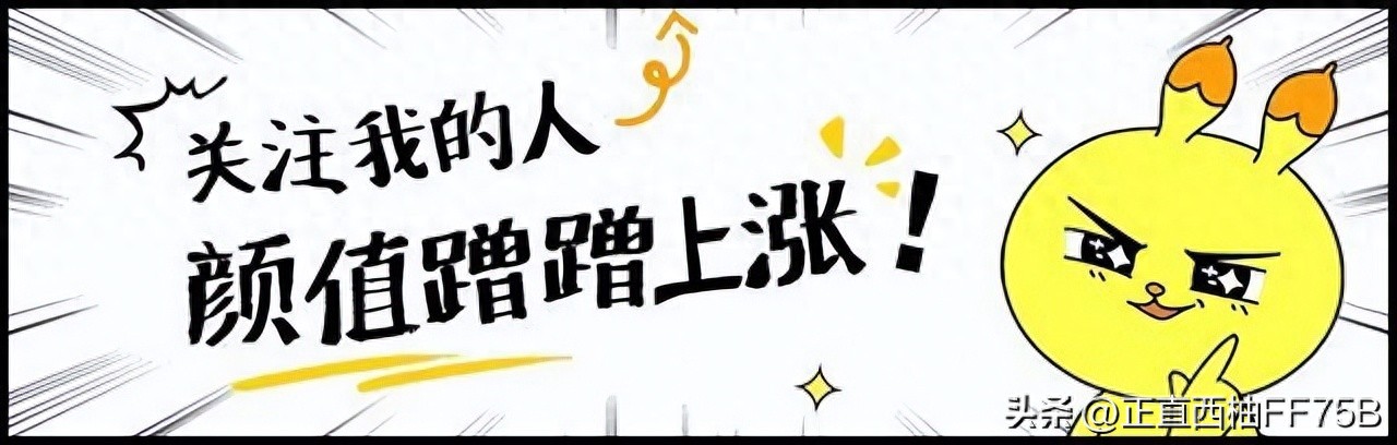 重振球风_重振球风国语版免费观看_重振球风电影完整版
