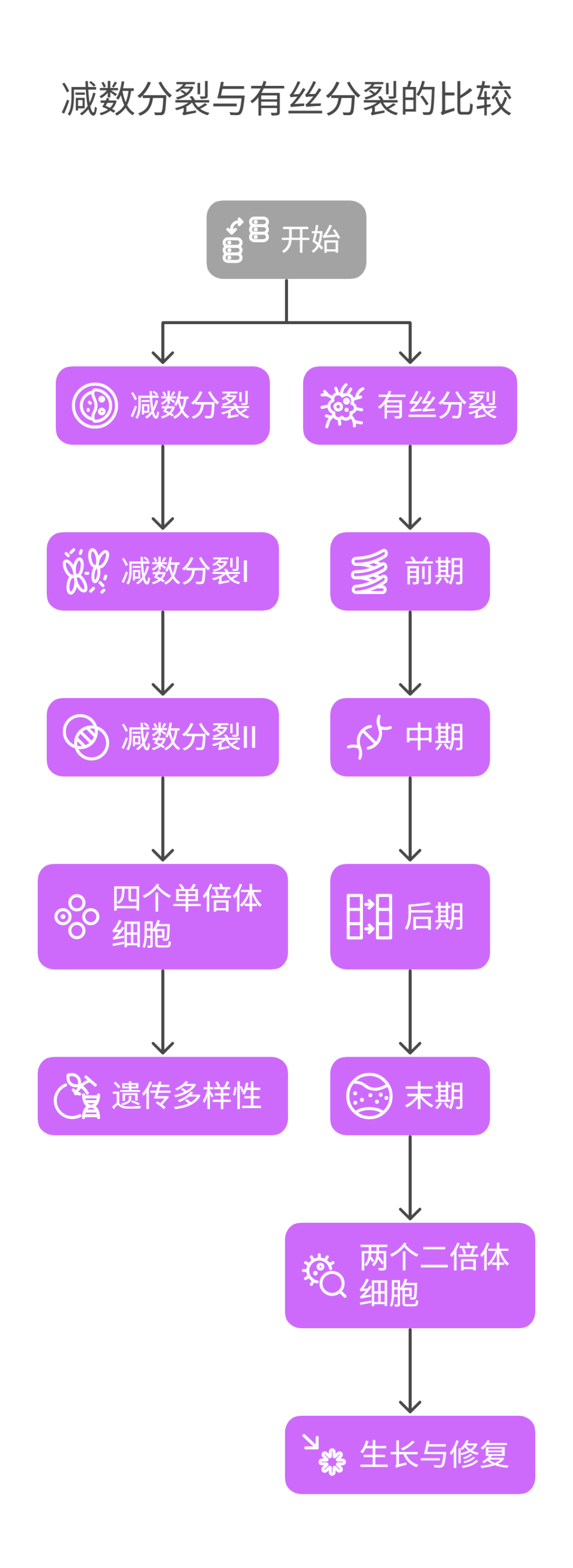 片段_片段的意思_片段和片断有什么区别