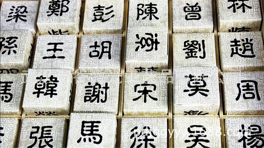 帕组词_帕组词_帕组词
