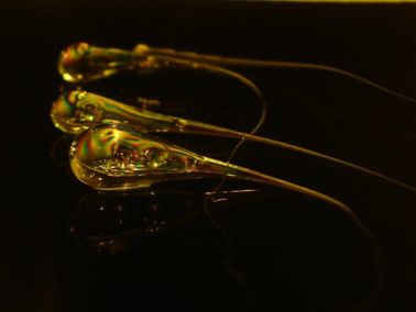 定义自然数的五条公理_自然数的定义_自然数的定义符号