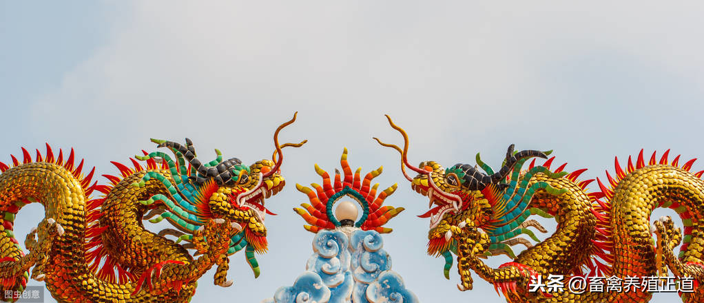 遏恶扬善的意思_遏恶扬善怎么读_遏恶扬善