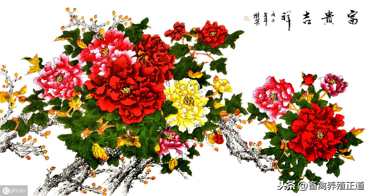 遏恶扬善的意思_遏恶扬善_遏恶扬善怎么读