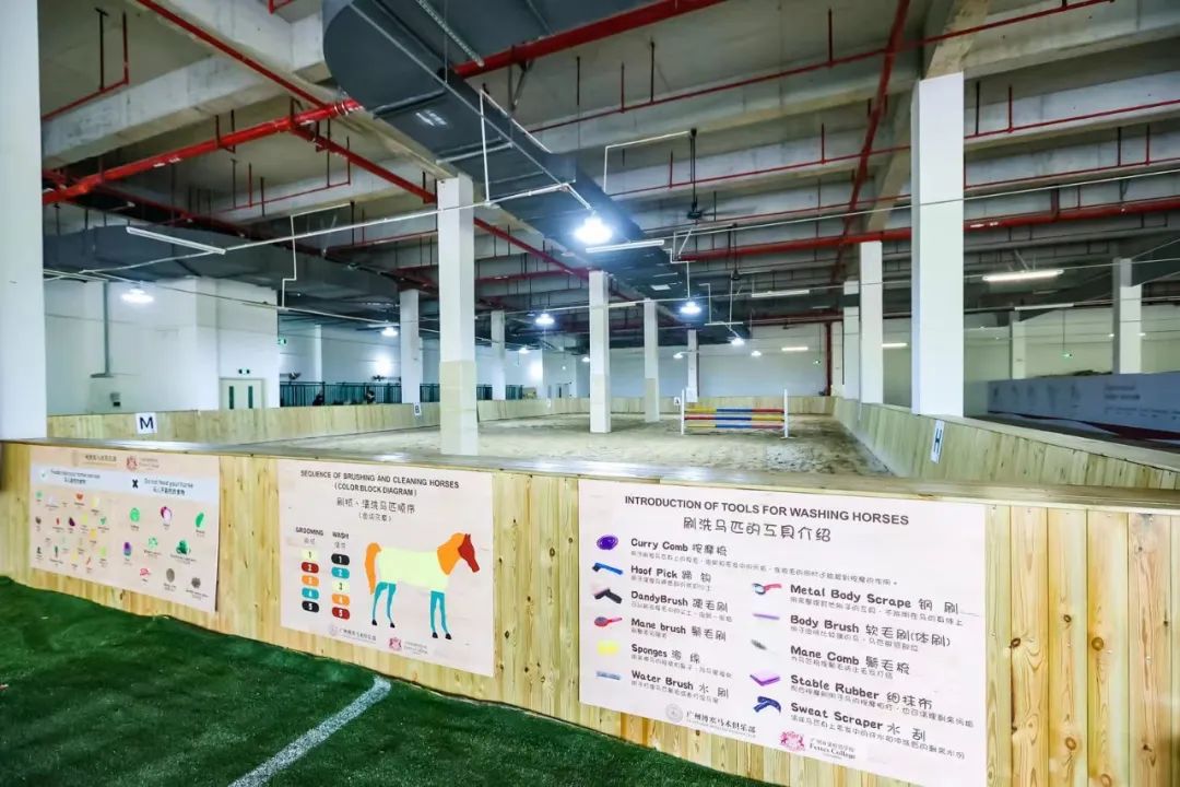 广州市斐特思学校_广州思级_广州斐特思公学招生