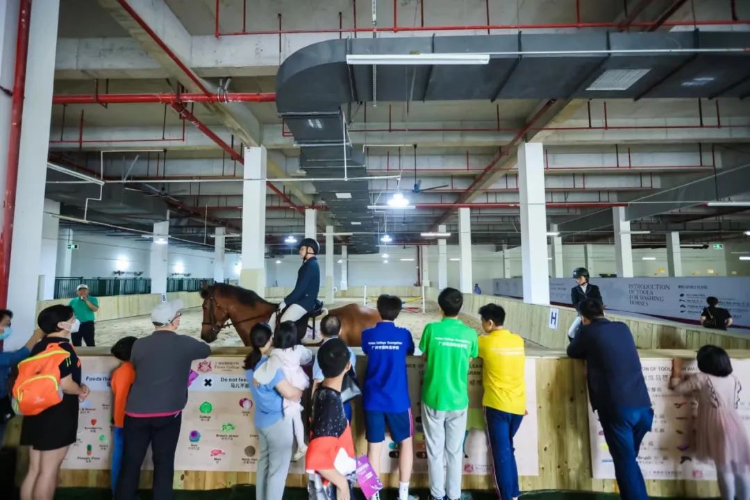 广州市斐特思学校_广州思级_广州斐特思公学招生
