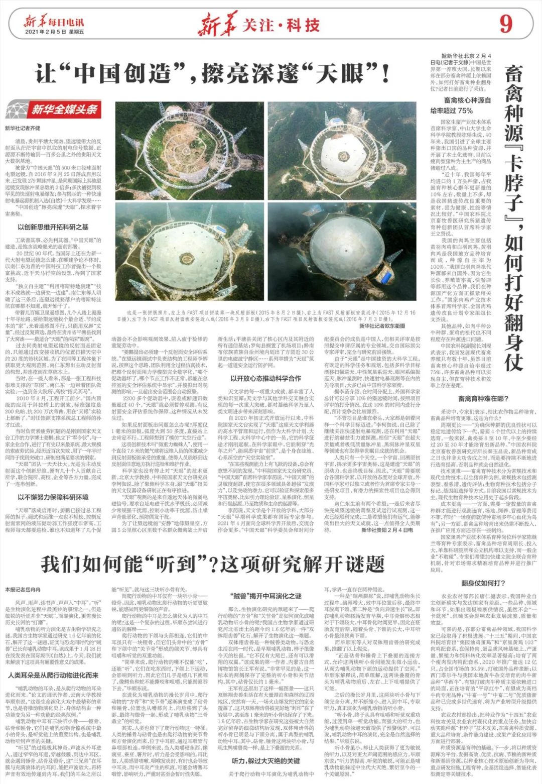 砧骨_砧骨怎么读_砧骨镫骨怎么读拼音