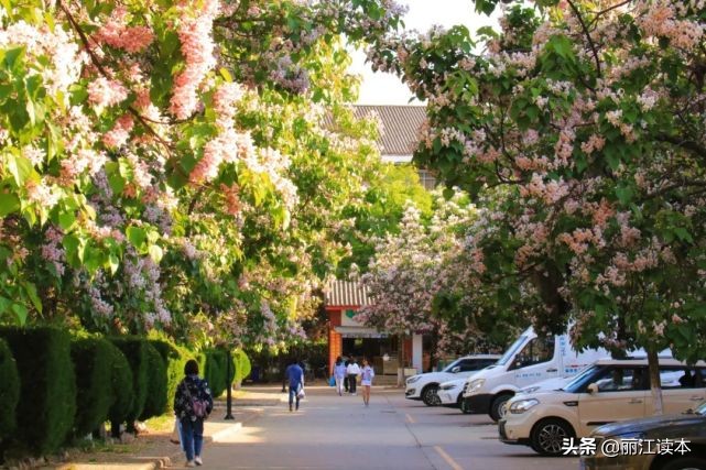 丽江旅游学院热搜_丽江文化旅游学院官网_丽江市旅游学院