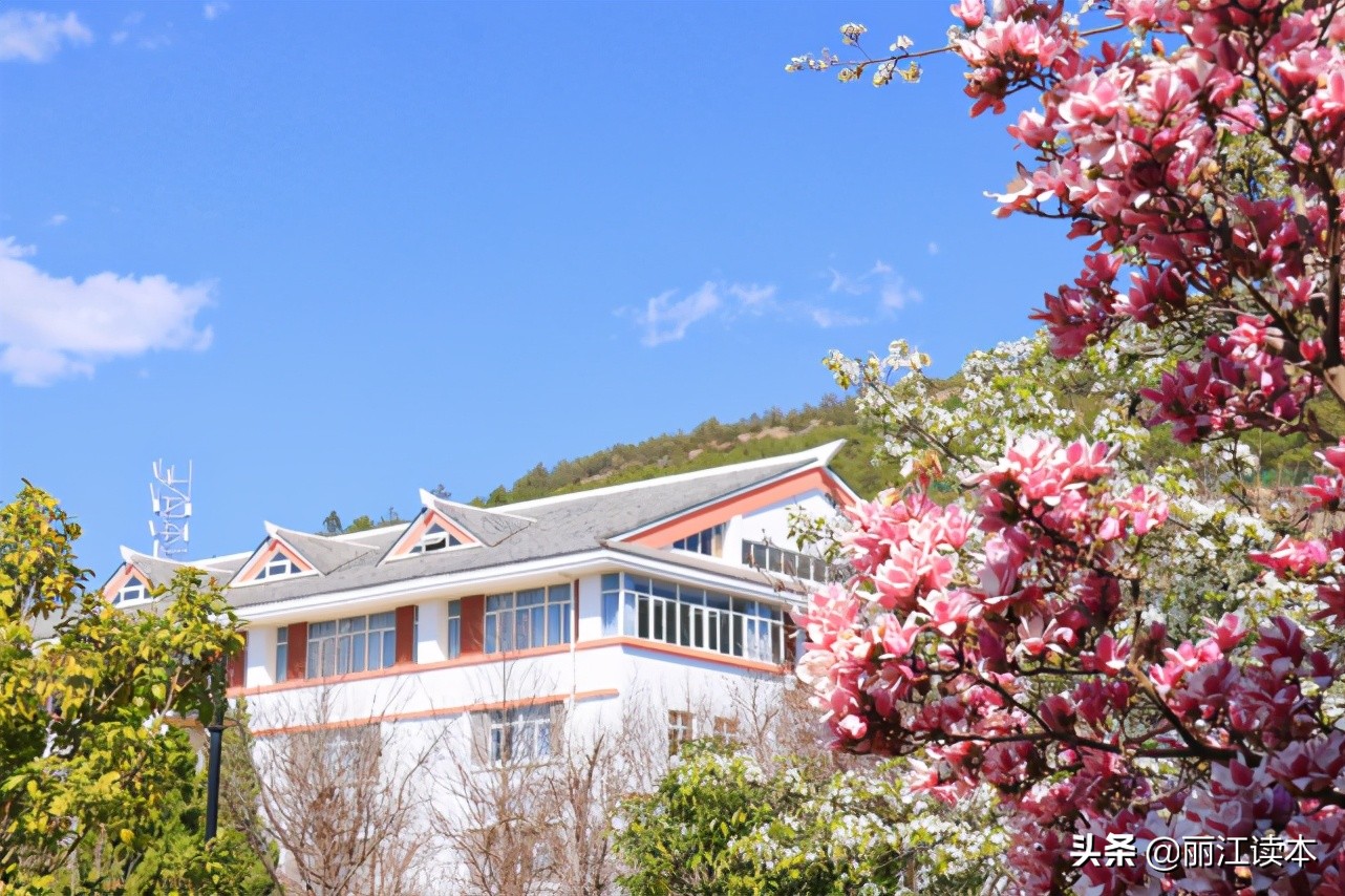 丽江旅游学院热搜_丽江文化旅游学院官网_丽江市旅游学院