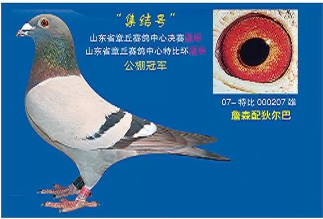 肉烂锅里什么意思_好肉烂在锅里头_肉烂在锅里