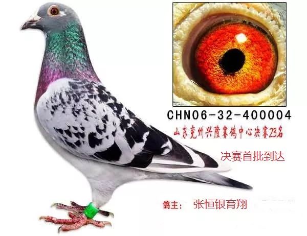 好肉烂在锅里头_肉烂在锅里_肉烂锅里什么意思