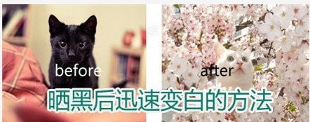 飞华健康网搜狗百科_华飞健康网问答网_飞华健康网