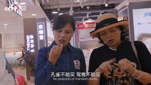 腾讯视频网站入口_http腾讯视频_腾讯视频入口