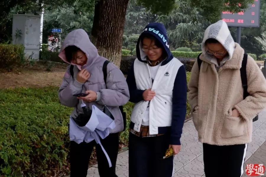 妖可妖非常妖_青妖和素妖_妖