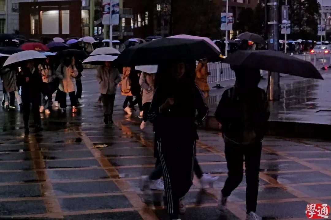 青妖和素妖_妖_妖可妖非常妖